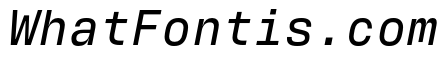 Antarctican Mono Medium Italic