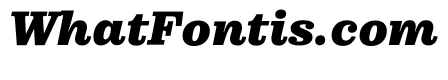 Pulpo Black Italic