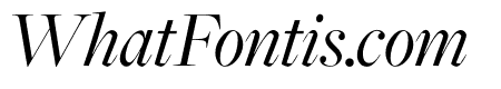 FreightDisp Pro Book Italic