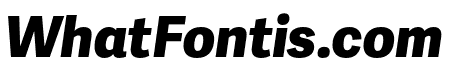 Adelle Sans Cnd ExtraBold Italic