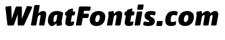 Nuvo Pro Black Italic