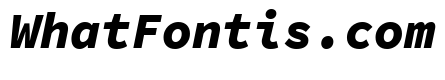 Source Code Pro Black Italic