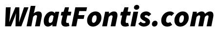 Source Sans Pro Black Italic