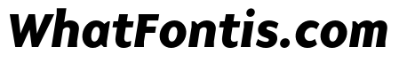 Base 900 Sans OT Bold Italic