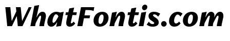 FreightNeo Pro Black Italic
