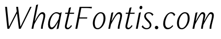 FreightNeo Pro Light Italic