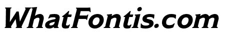 Modesto Text Bold Italic