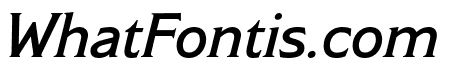 Modesto Text Light Italic