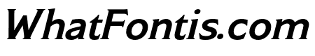 Modesto Text Medium Italic
