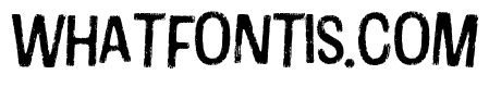 Cotton Regular