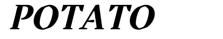 Tejuela ExtraBold Italic