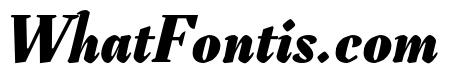 Tejuela Heavy Italic