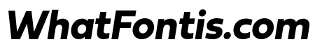 Fieldwork Italic Bold