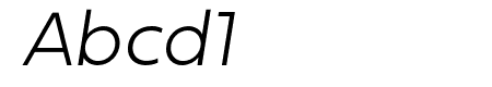 Fieldwork Italic Thin