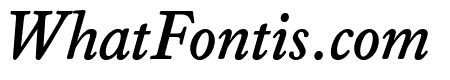 WilliamsCaslonText Bold Italic