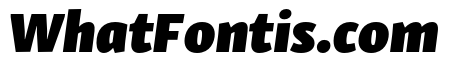 Skolar Sans Latin Compressed Black Italic