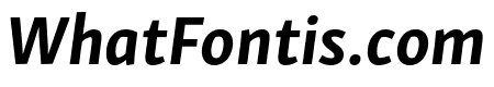 Skolar Sans Latin Compressed Bold Italic