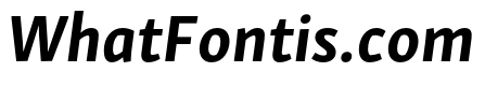 Skolar Sans Latin Extended Bold Italic