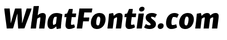 Skolar Sans Latin Extrabold Italic