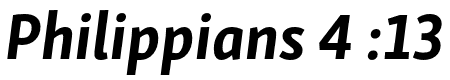 Skolar Sans PE Bold Italic