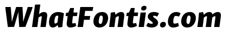 Skolar Sans PE Extrabold Italic