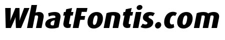 Dax Pro Cond Extrabold Italic