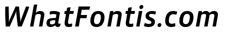 Vista Sans OTCE Medium Italic