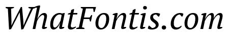 PT Serif Italic