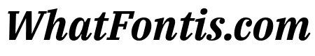 IBM Plex Serif Bold Italic