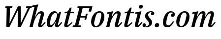 IBM Plex Serif Medium Italic