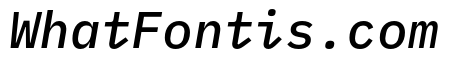 IBM Plex Mono Medium Italic