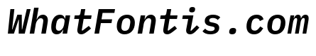 IBM Plex Mono SemiBold Italic