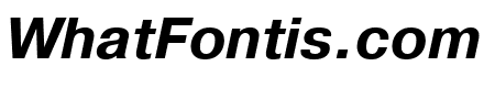 Pragmatica Bold Oblique
