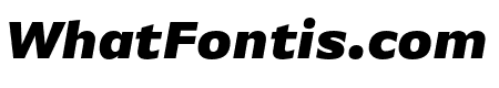 Basic Gothic Pro Black Italic