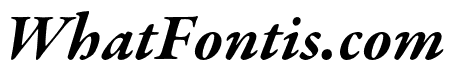 Garamond Premier Pro Bold Italic