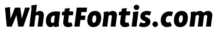 Profile Pro Black Italic