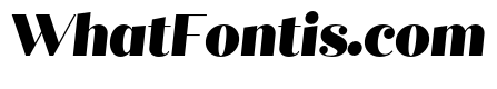 Quiche Display Black Italic