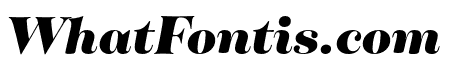 Tenez Black Italic