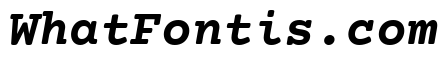 Courier Prime Bold Italic
