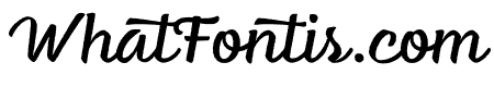 Feltro Texture 1
