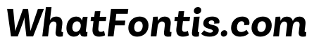 Basic Sans Bold It