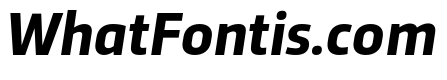 Trasandina  Bold Italic