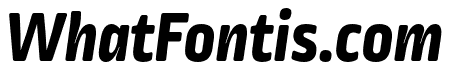 Ropa Soft Pro ExtraBold Italic