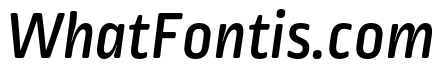 Ropa Soft Pro Medium Italic