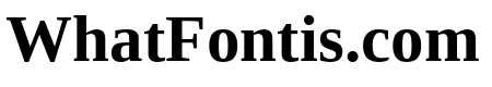 Tinos Bold