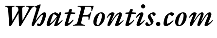 ITC Galliard Pro Bold Italic