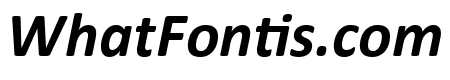 Calibri Bold Italic