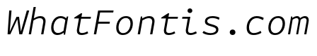 Attribute Mono Light Italic