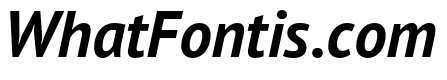 PT Sans Pro Bold Italic