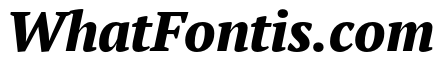 PT Serif Pro Extended Extra Bold Italic